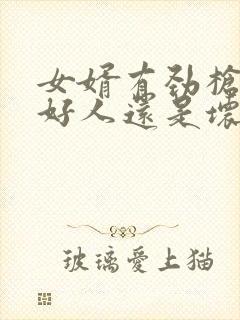 女婿有劲枪枪是好人还是坏人