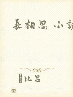 长相思 小说