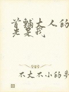 首辅大人的白月光是我