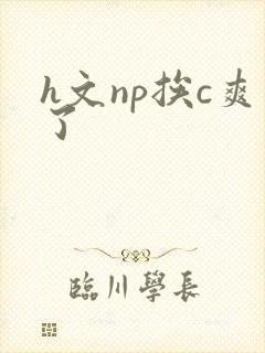 h文np挨c爽了