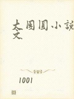 大团圆小说集全文