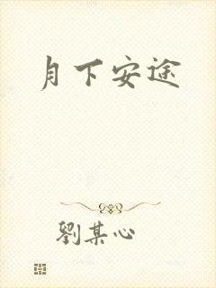 月下安途