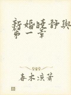 新婚晓静与翁公笫一章