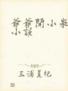 爷爷开小米的包小说