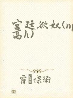 宫廷欲奴(np高h)