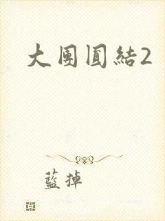 大团圆结2