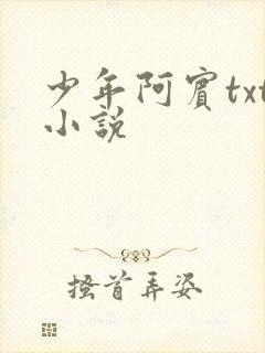 少年阿宾txt小说