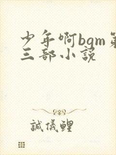少年啊bgm第三部小说
