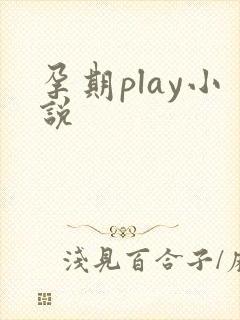 孕期play小说