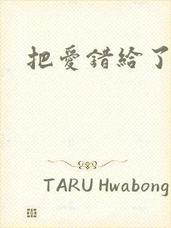把爱错给了你