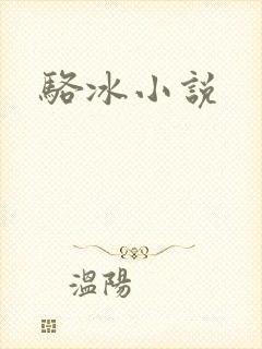 骆冰小说