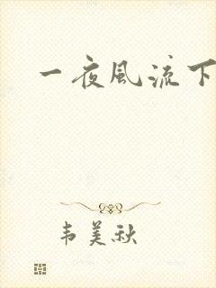 一夜风流下载