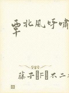 西北风呼啸的中午