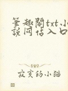 笔趣阁txt小说网站入口