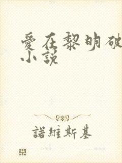 爱在黎明破晓前小说
