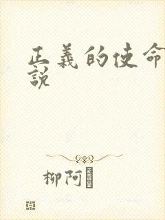 正义的使命 小说