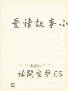 爱情故事小说