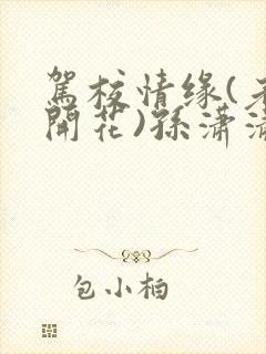 驾校情缘(老树开花)孙潇潇第一次趣笔阁