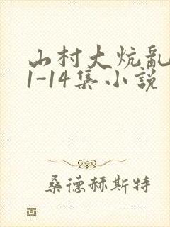 山村大炕乱肉续1-14集小说