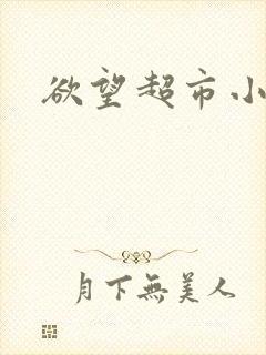 欲望超市小说