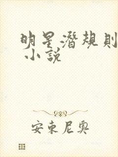 明星潜规则之皇 小说