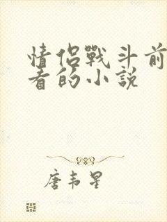 情侣战斗前适合看的小说