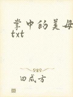 掌中的美母版主txt