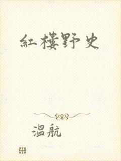 红楼野史