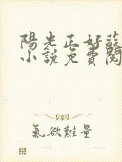 阳光正好苏玥玥小说免费阅读无弹窗