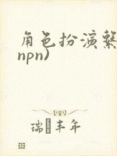 角色扮演系统(npn)