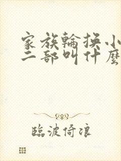 家族轮换小说第二部叫什么名字