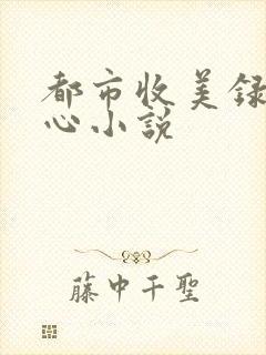 都市收美录宁素心小说