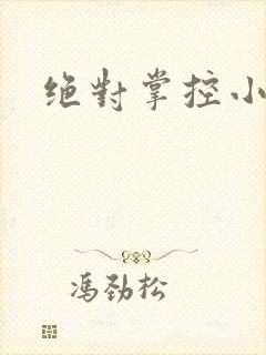 绝对掌控小说
