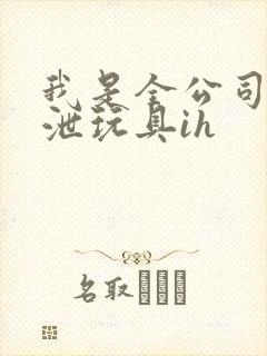 我是全公司的发泄玩具ih