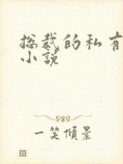 总裁的私有宝贝小说