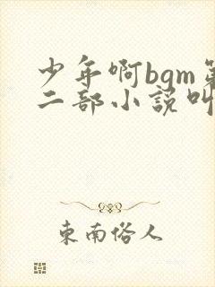 少年啊bgm第二部小说叫什么