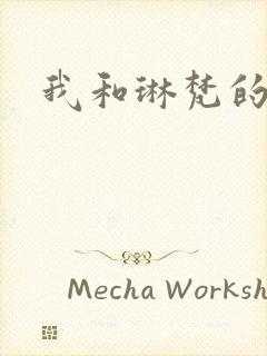 我和琳梵的故事