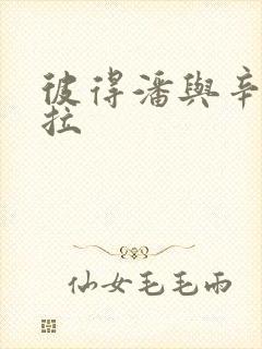 彼得潘与辛德瑞拉