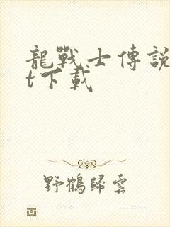 龙战士传说txt下载