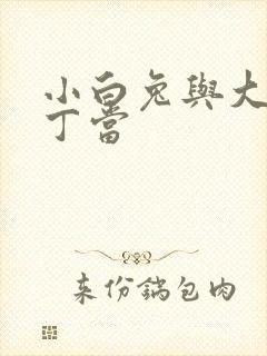 小白兔与大灰狼丁当