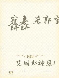 宠妻 老郭家的饼饼