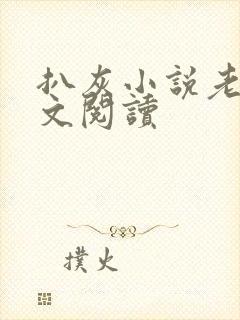 扒灰小说老马全文阅读