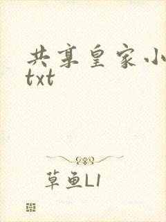 共享皇家小公主txt