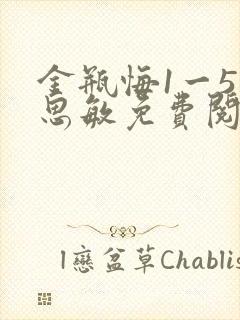 金瓶悔1一5杨思敏免费阅读