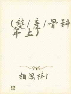 (双/产/骨科年上)