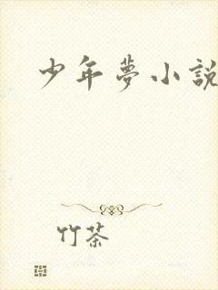 少年梦小说