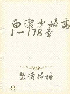 白洁少妇高义第1一178章