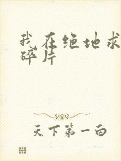 我在绝地求生捡碎片