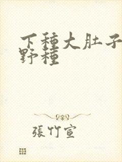 下种大肚子怀孕野种