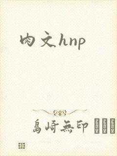 肉文hnp